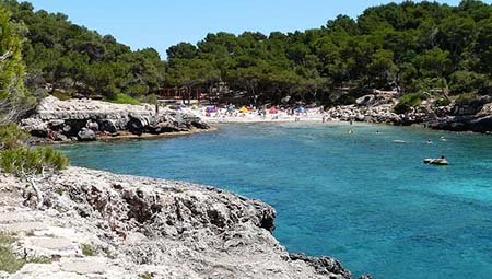 Transfer Cala Barca